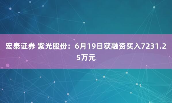 宏泰证券 紫光股份：6月19日获融资买入7231.25万元