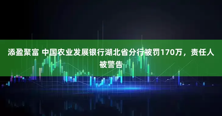 添盈聚富 中国农业发展银行湖北省分行被罚170万，责任人被警告
