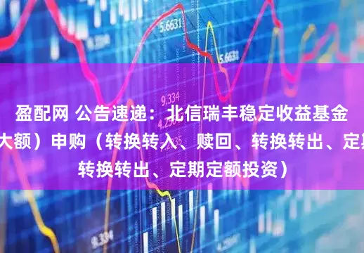 盈配网 公告速递：北信瑞丰稳定收益基金基金暂停（大额）申购（转换转入、赎回、转换转出、定期定额投资）
